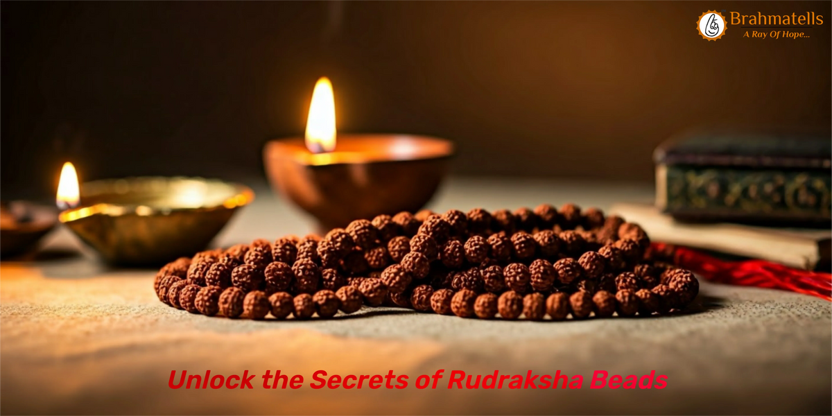 12 Reasons Rudraksha Beads Are Vital for Astrological Practices