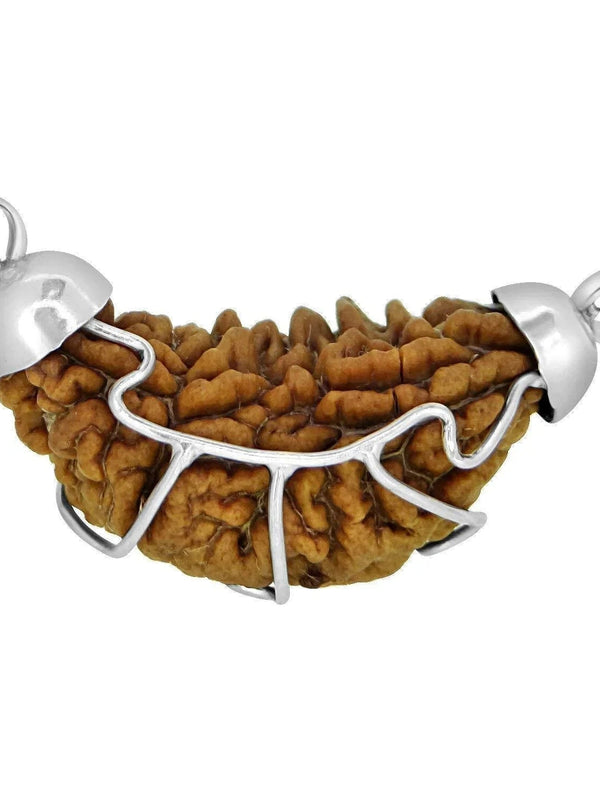 1 Mukhi Certified Rudraksha Silver Cap Pendant - Universal Spiritual Symbol | Brahmatells - BrahmatellsStore