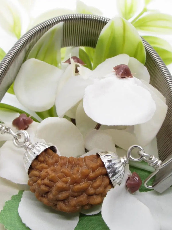 1 Mukhi Rudraksha Bracelet - Spiritual Elegance | Brahmatells by Brahmatells
