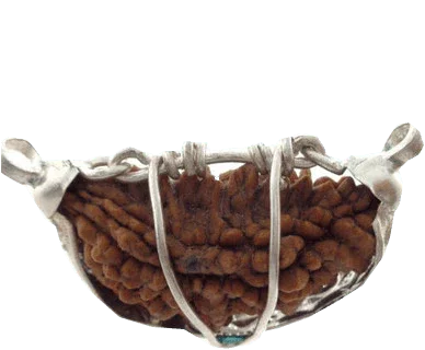 1 Mukhi Rudraksha Pendant - Spiritual Awakening with Lord Shiva's Essence | Brahmatells by Brahmatells