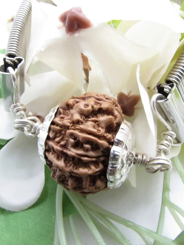 10 Mukhi Rudraksha Bracelet - Divine Protection | Brahmatells by Brahmatells