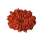 10 Mukhi Rudraksha Pendant: Embrace the Shield of Lord Vishnu | Brahmatells - BrahmatellsStore