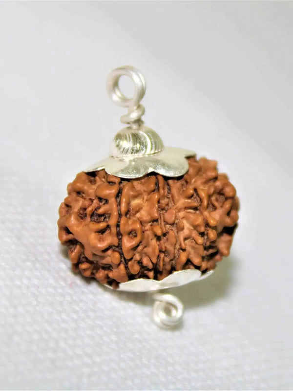 12 Mukhi Rudraksha Silver Cap Pendant - Divine Radiance & Leadership | Brahmatells by Brahmatells