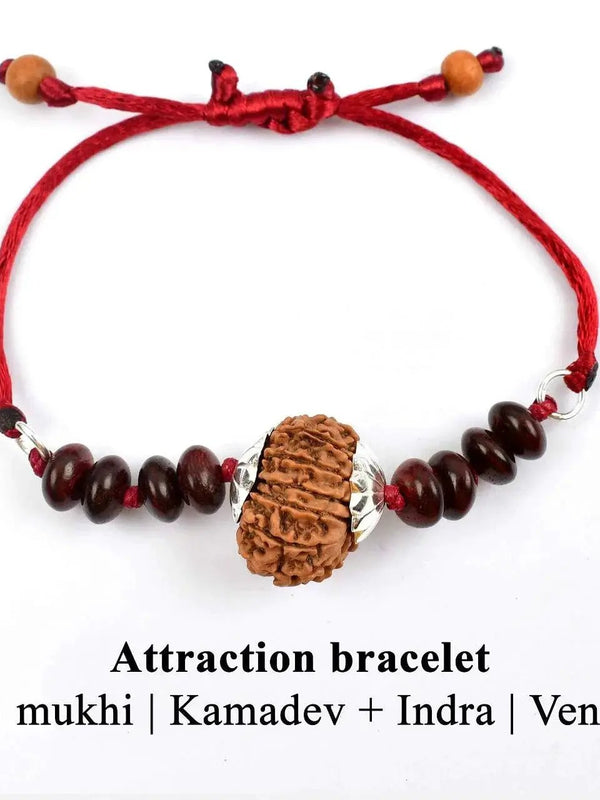 13 Mukhi Rudraksha Bracelet - Magnetize Your Presence | Brahmatells by Brahmatells