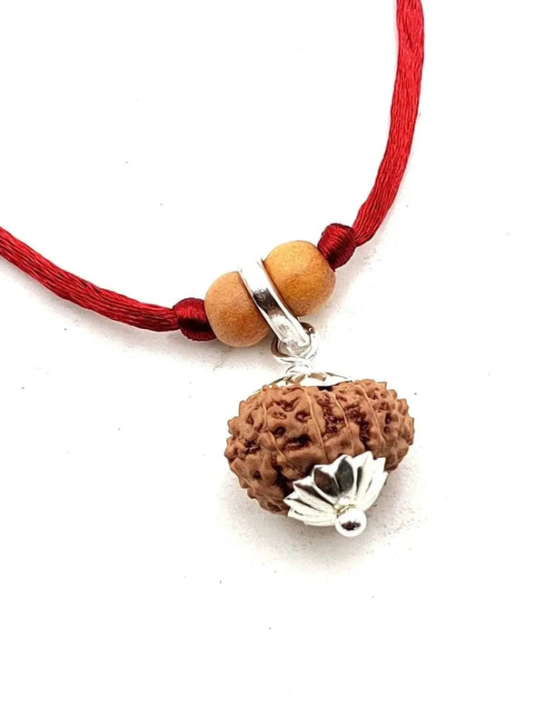 13 Mukhi Rudraksha Silver Cap Pendant - Unleash Charisma & Success | Brahmatells by Brahmatells