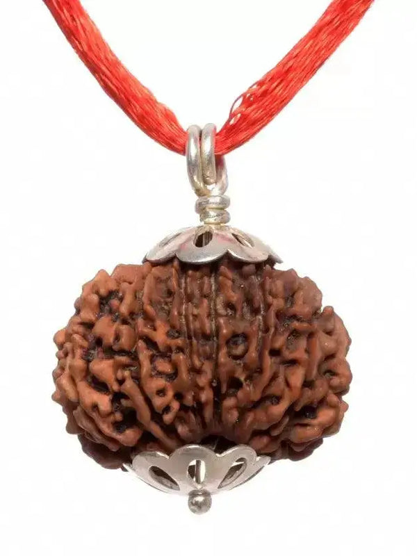 14 Mukhi Rudraksha Pendant: Unleash Paramshiva's Power | Brahmatells by Brahmatells