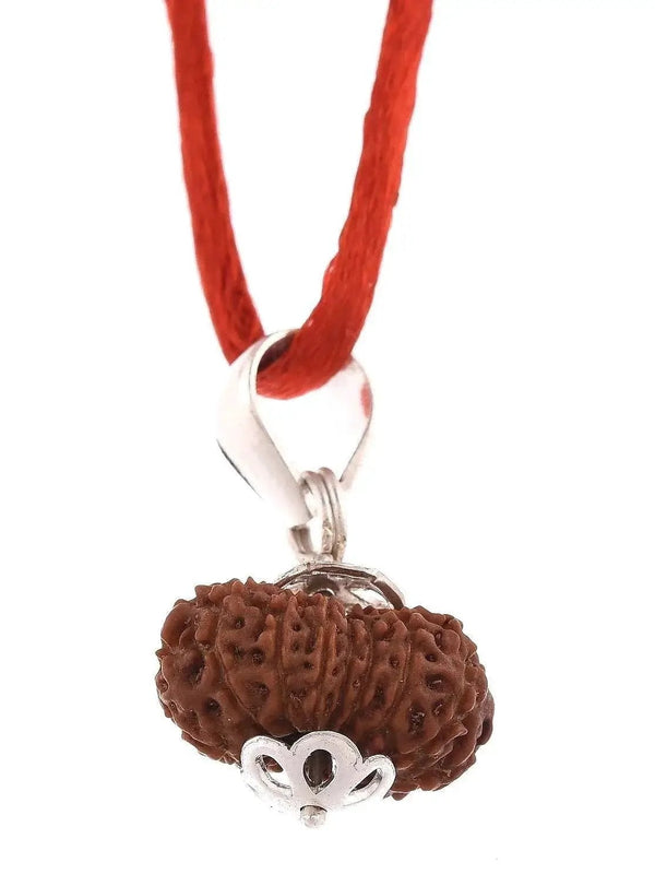 16 Mukhi Rudraksha Pendant - Triumph & Protection | Brahmatells by Brahmatells