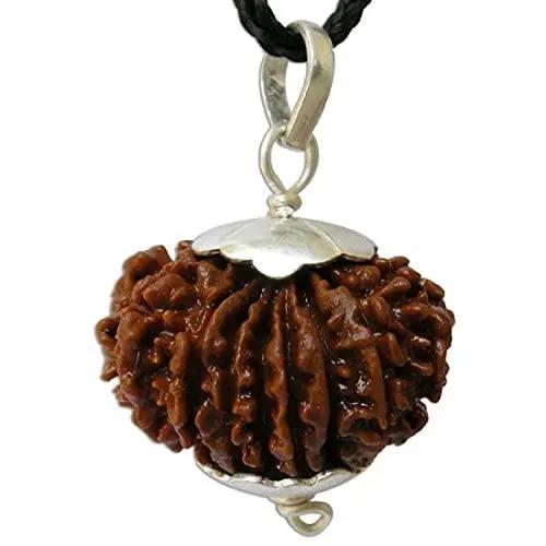 17 Mukhi Rudraksha Silver Pendant - Empowerment & Prosperity | Brahmatells by Brahmatells