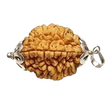 2 Mukhi Rudraksha Pendant: Harmonizing Dual Energies | Brahmatells by Brahmatells