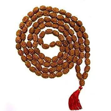 3 Mukhi Rudraksha Mala: Unleash Your Inner Fire | Brahmatells by Brahmatells