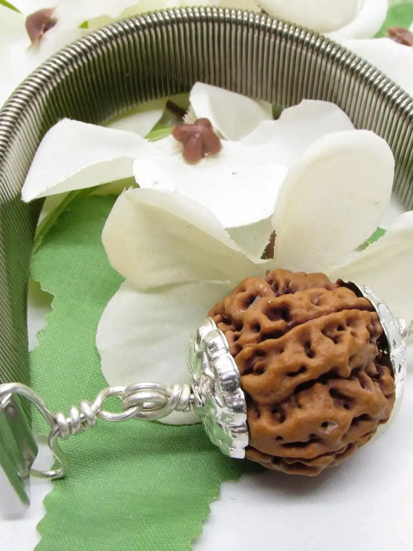 5 Mukhi Rudraksha Bracelet with Silver Pendant - Spiritual Elegance | Brahmatells by Brahmatells