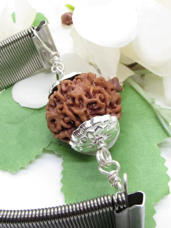 6 Mukhi Rudraksha Wisdom Bracelet | Brahmatells by Brahmatells