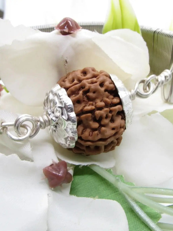8 Mukhi Rudraksh Bracelet & Silver Pendant - Lord Ganesha's Blessings | Brahmatells by Brahmatells