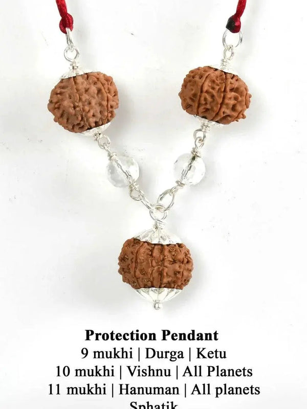 9, 10, 11 Mukhi Rudraksha Protection Pendant - Divine Shield | Brahmatells by Brahmatells