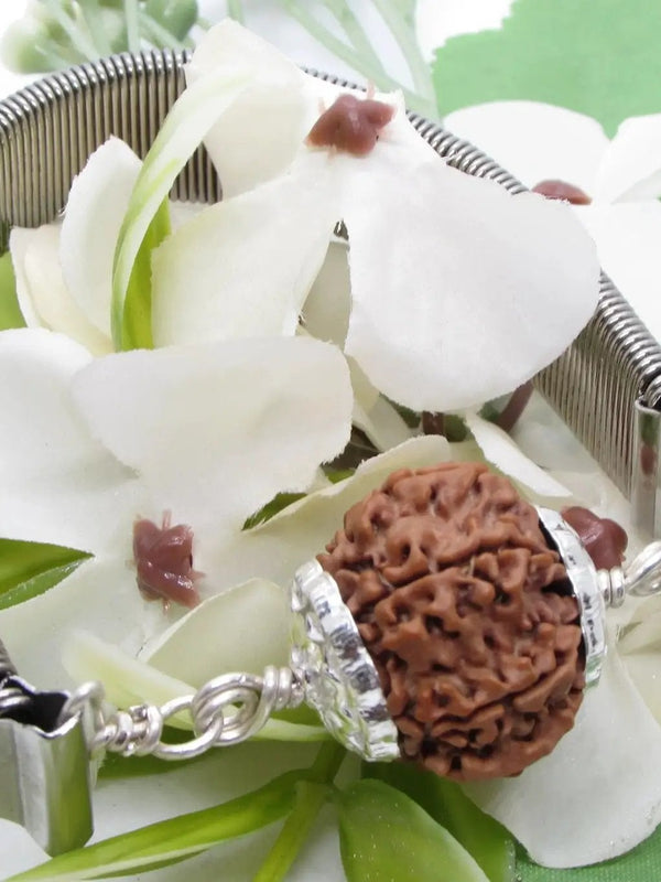 9 Mukhi Rudraksha Bracelet with Silver Pendant - Empowerment & Protection | Brahmatells by Brahmatells