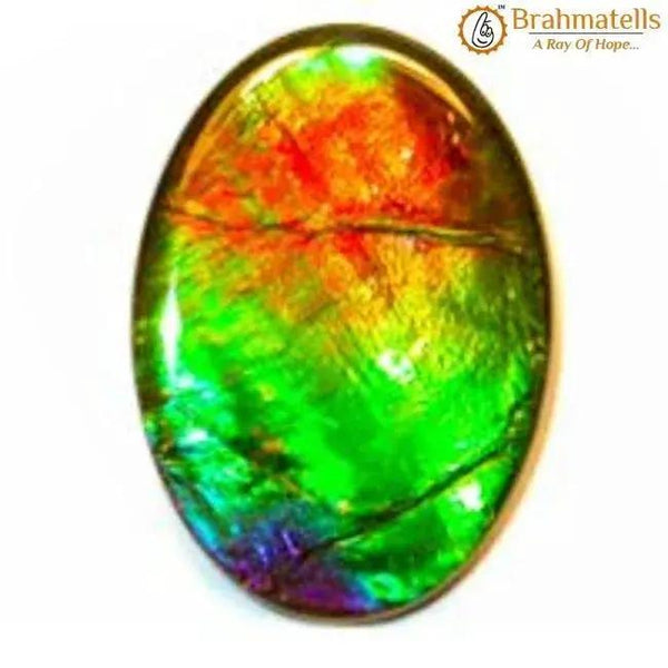 Ammolite by Brahmatells