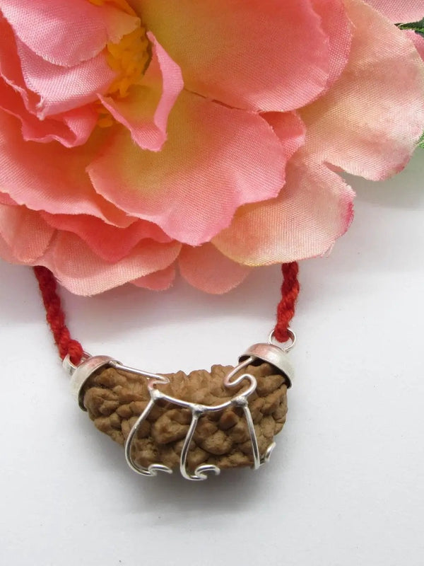 Aquarius One Mukhi Rudraksha Pendant in Silver | Brahmatells by Brahmatells