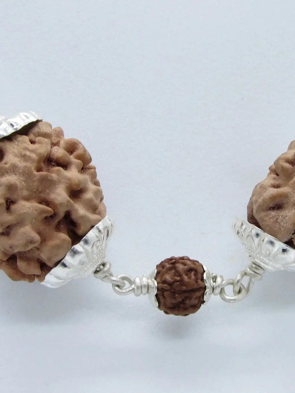 Cancer Zodiac Rudraksha Pendant – 2 Mukhi Indian Beads | Brahmatells by Brahmatells