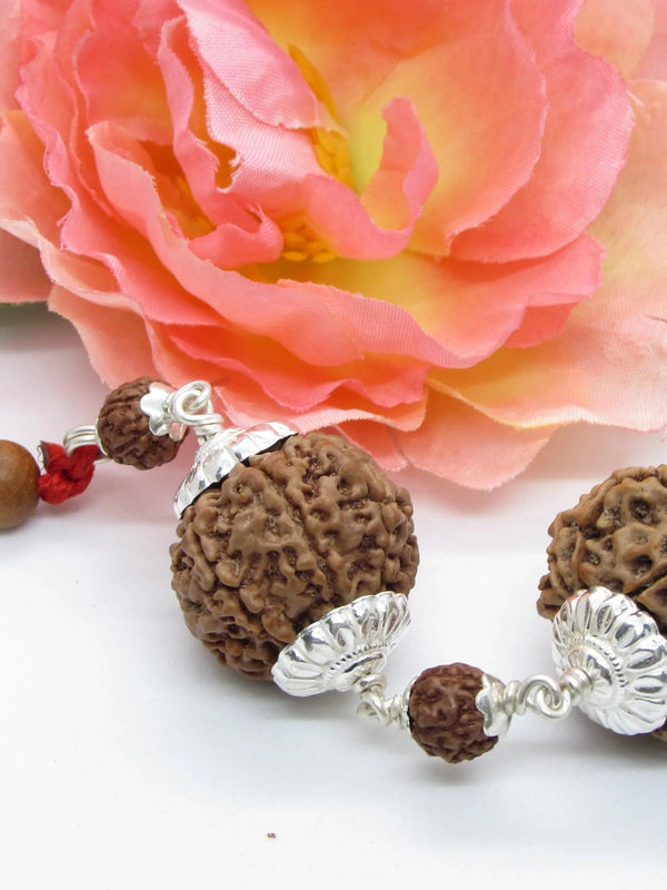 Capricorn Rudraksha Pair – 7 Mukhi Nepal Beads with Silver by Brahmatells