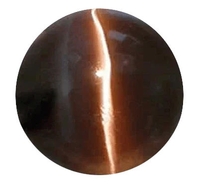 Cats Eye mocha-brown BTCE114GSM by Brahmatells