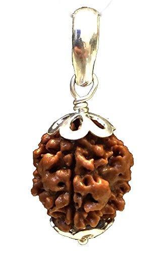 Collector 3 Mukhi Rudraksha Pendant - Fire Energy & Purification | Brahmatells by Brahmatells
