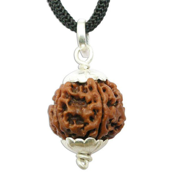 Collector 5 Mukhi Rudraksha Pendant: Spiritual Depth | Brahmatells by Brahmatells