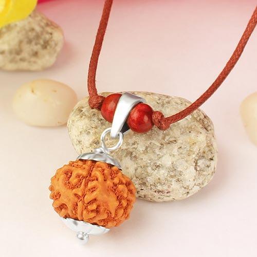 Collector 7 Mukhi Rudraksha Pendant - Prosperity & Health Blessings | Brahmatells by Brahmatells