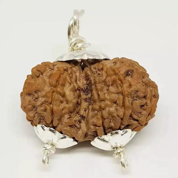 Collector Gauri Shankar Rudraksha Pendant - Divine Harmony & Unity | Brahmatells by Brahmatells