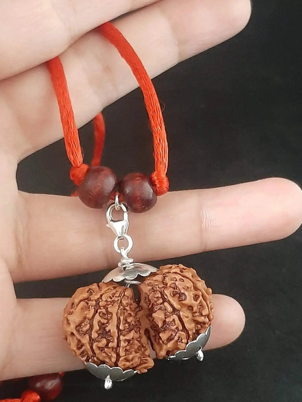 Collector Size Gauri Shankar Rudraksha Pendant - Divine Harmony | Brahmatells by Brahmatells