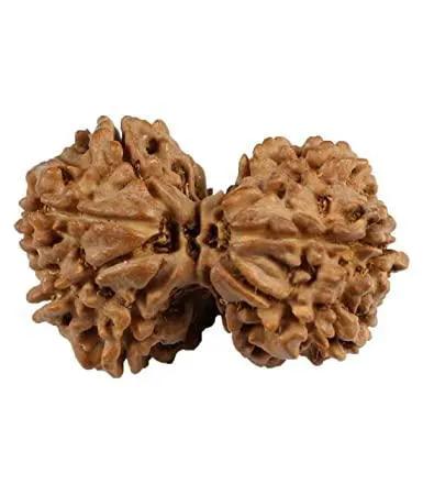 Divine Harmony Gauri Ganesh Rudraksha Java - Strengthen Family Bonds | Brahmatells by Brahmatells