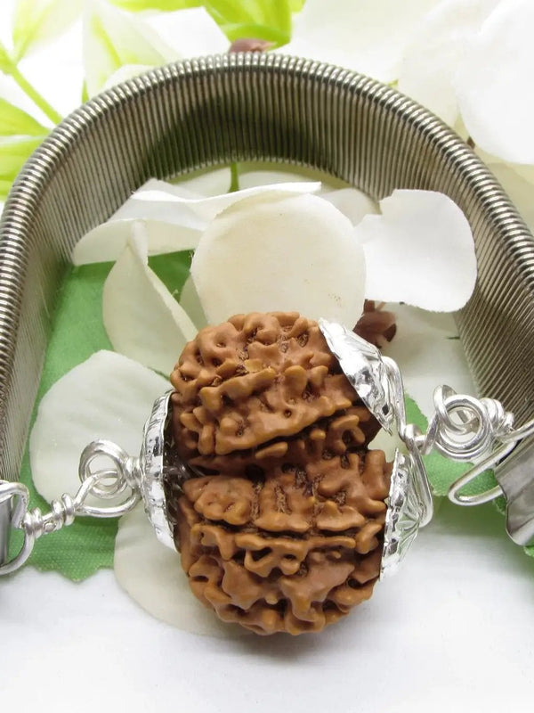 Gauri Shankar Rudraksha Bracelet with Silver Pendant - Harmony & Spiritual Connection | Brahmatells by Brahmatells