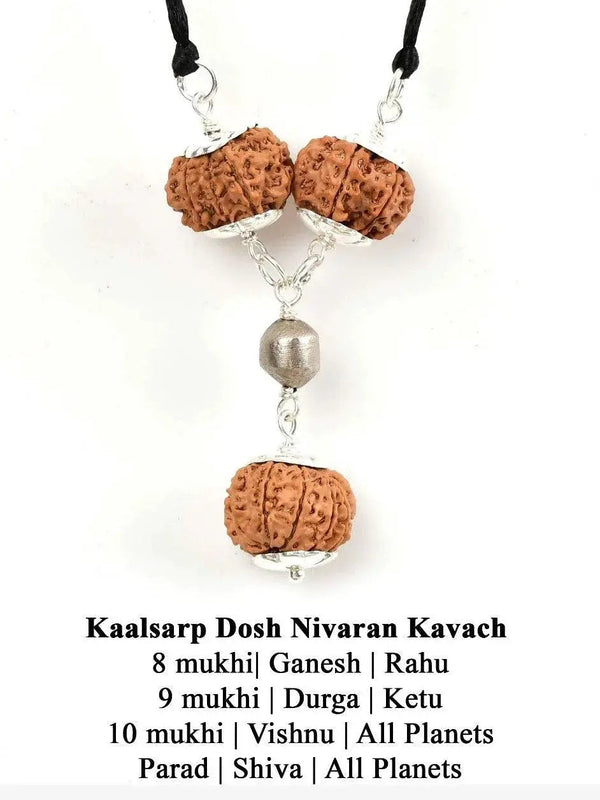 Kaalsarp Dosh Nivaran Kavach - Rudraksha for Spiritual Harmony | Brahmatells by Brahmatells