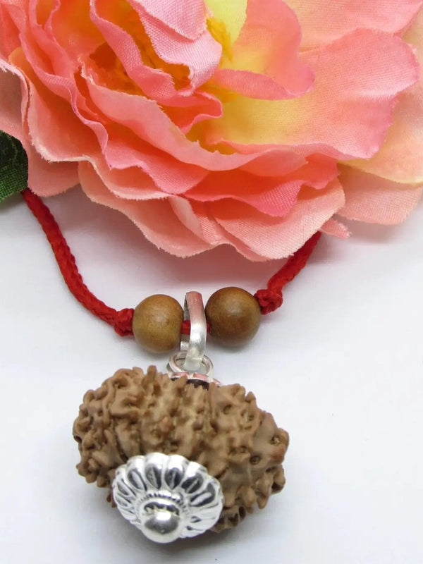12 Mukhi Nepal Rudraksha Pendant for Leo Zodiac | Brahmatells by Brahmatells