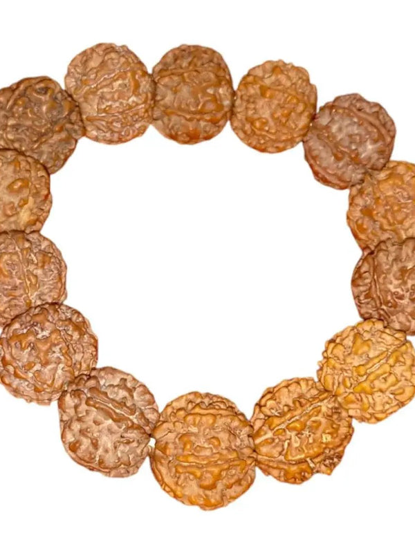 Original 7 Mukhi Nepali Rudraksha Bracelet | Certified Seven Faces Bead by Brahmatells
