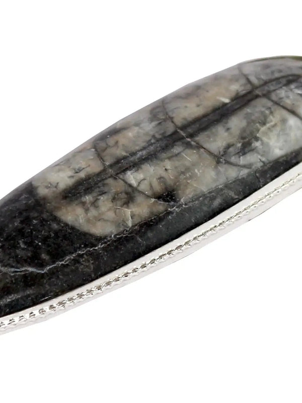 Orthoceras Pendant - Kuber Stone for Abundance & Protection | Brahmatells by Brahmatells