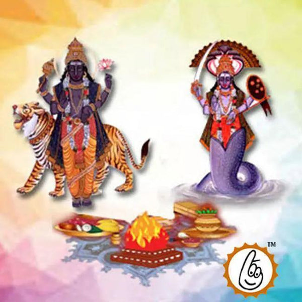 Rahu and Ketu Grah Puja Mantra Japa and Yagna by Brahmatells