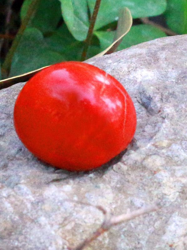 Red Jasper Tumble by Brahmatells