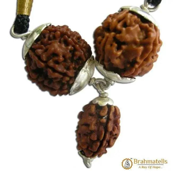 Shigra Vivah Rudraksha Pendant - Harmonizing Marital Bliss | Brahmatells by Brahmatells