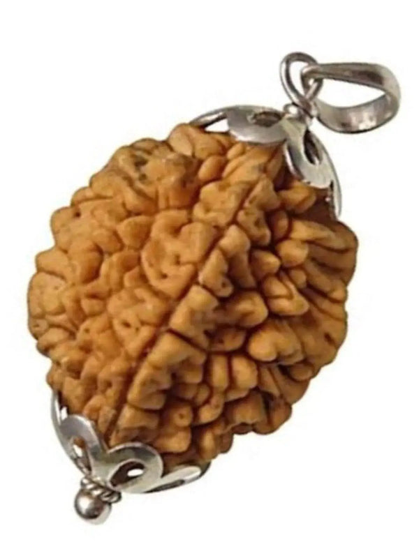 Two Mukhi Rudraksha Silver Pendant - Uniting Dual Energies | Brahmatells by Brahmatells