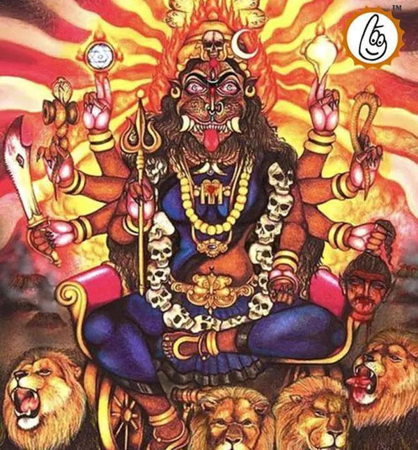 Vijay Prapti Yajna by Brahmatells