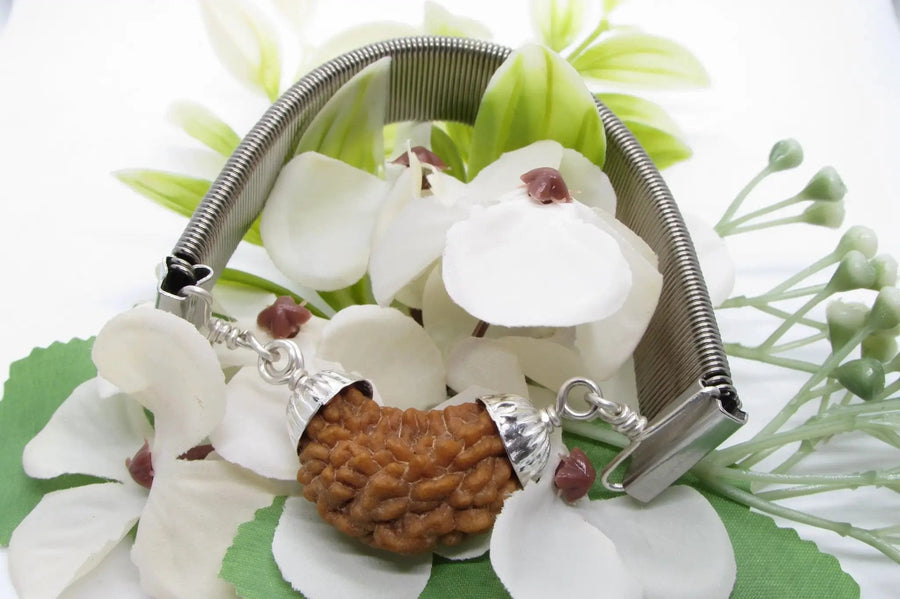 1 Mukhi Rudraksha Bracelet - Spiritual Elegance | Brahmatells by Brahmatells