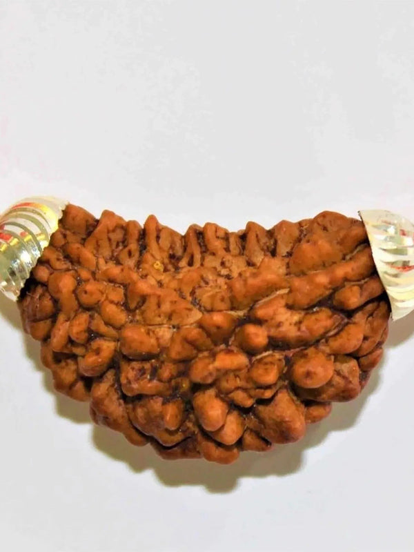 1 Mukhi Rudraksha Silver Pendant - Divine Essence of Shiva | Brahmatells - BrahmatellsStore