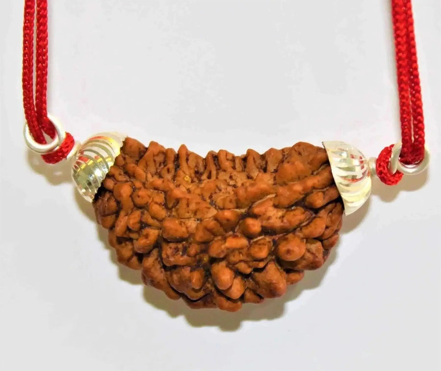 1 Mukhi Rudraksha Silver Pendant - Divine Essence of Shiva | Brahmatells by Brahmatells