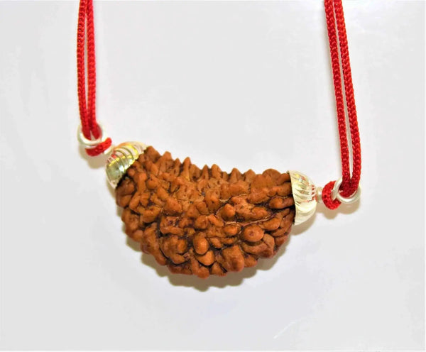 1 Mukhi Rudraksha Silver Pendant - Divine Essence of Shiva | Brahmatells by Brahmatells