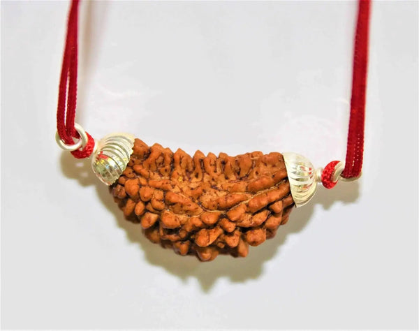 1 Mukhi Rudraksha Silver Pendant - Divine Essence of Shiva | Brahmatells by Brahmatells