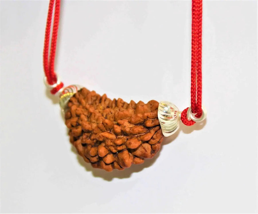 1 Mukhi Rudraksha Silver Pendant - Divine Essence of Shiva | Brahmatells by Brahmatells