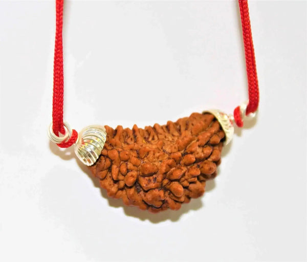 1 Mukhi Rudraksha Silver Pendant - Divine Essence of Shiva | Brahmatells by Brahmatells