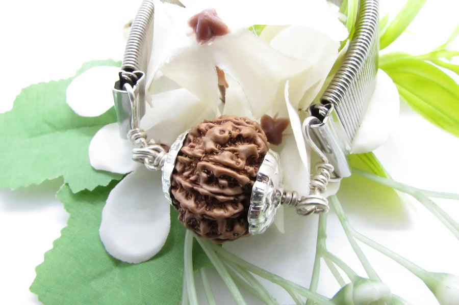 10 Mukhi Rudraksha Bracelet - Divine Protection | Brahmatells by Brahmatells