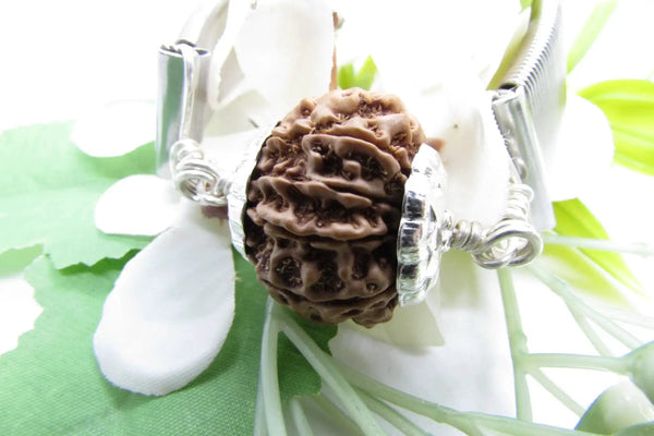 10 Mukhi Rudraksha Bracelet - Divine Protection | Brahmatells by Brahmatells