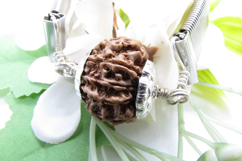 10 Mukhi Rudraksha Bracelet - Divine Protection | Brahmatells by Brahmatells